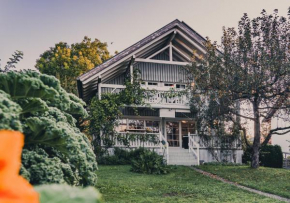 Hotels in Altach